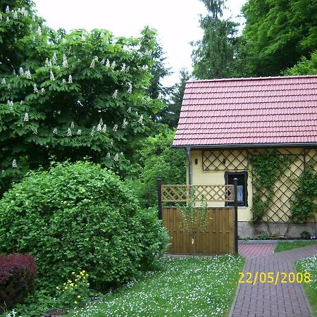 Birkenhain Villa Stolberg i. Harz Eksteriør bilde