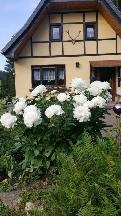 Birkenhain Villa Stolberg i. Harz Eksteriør bilde