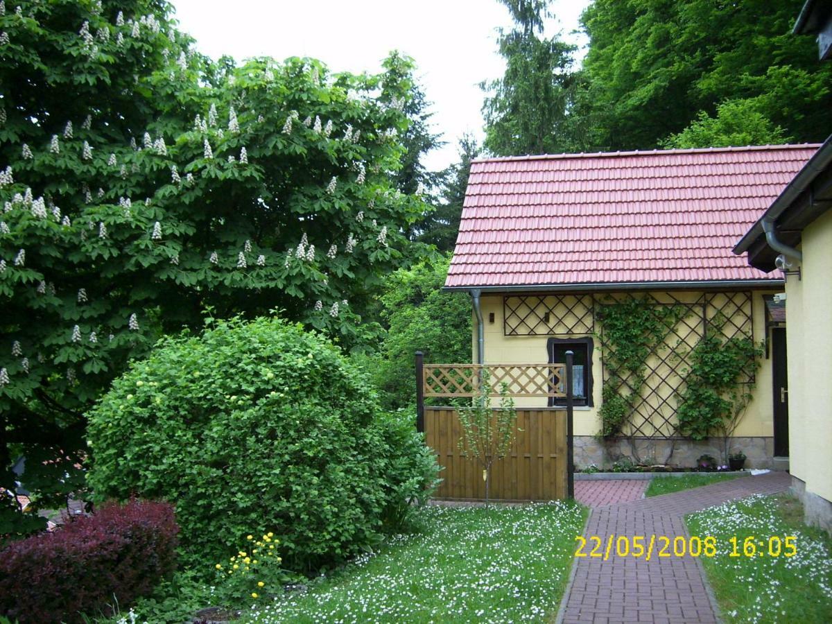 Birkenhain Villa Stolberg i. Harz Eksteriør bilde