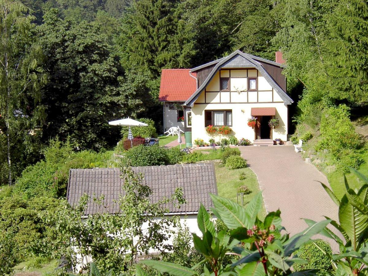 Birkenhain Villa Stolberg i. Harz Eksteriør bilde