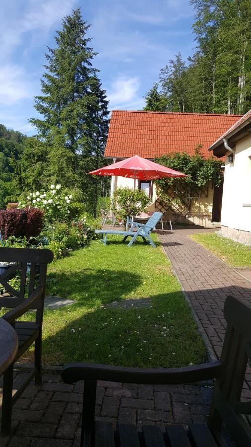 Birkenhain Villa Stolberg i. Harz Eksteriør bilde